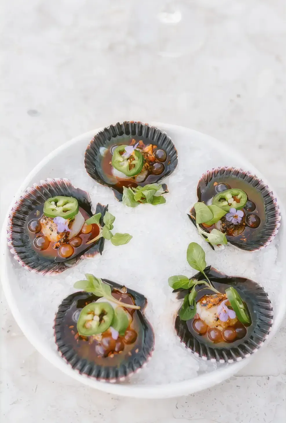 Peruvian scallop crudo